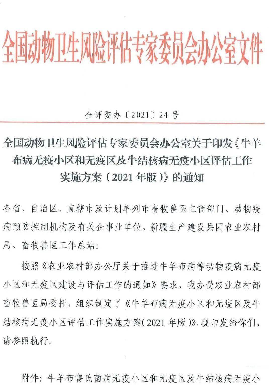 新澳今天最新资料,连贯性执行方法评估_黄金版3.101