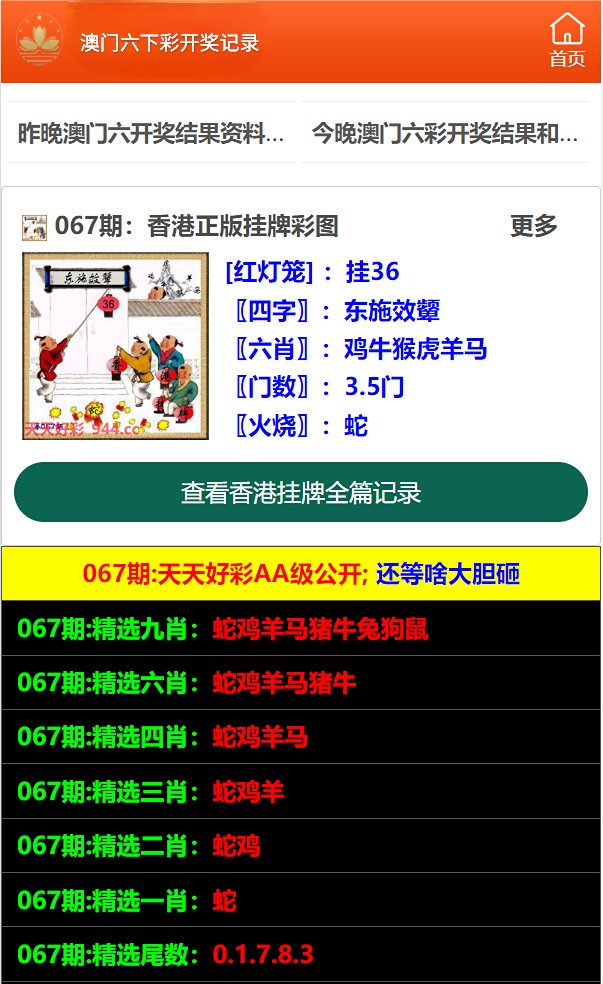 2024年10月21日 第13页