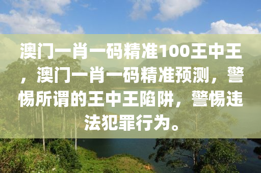 王中王最准一肖100免费公开，最新核心解答落实_网页版79.53.42