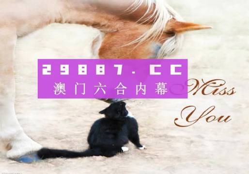 新澳门4949正版大全,详细解读落实方案_铂金版5.75