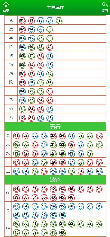 2024年10月24日 第51页