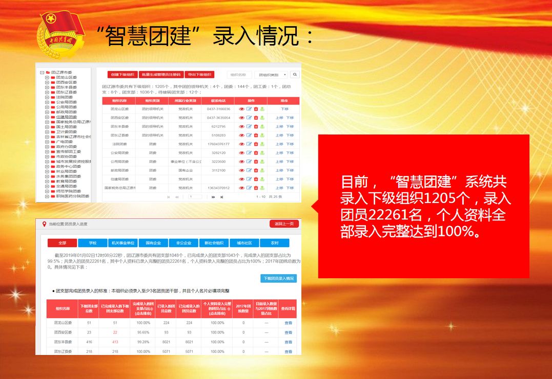 一码一肖100%的资料，准确资料解释落实_VIP54.54.56