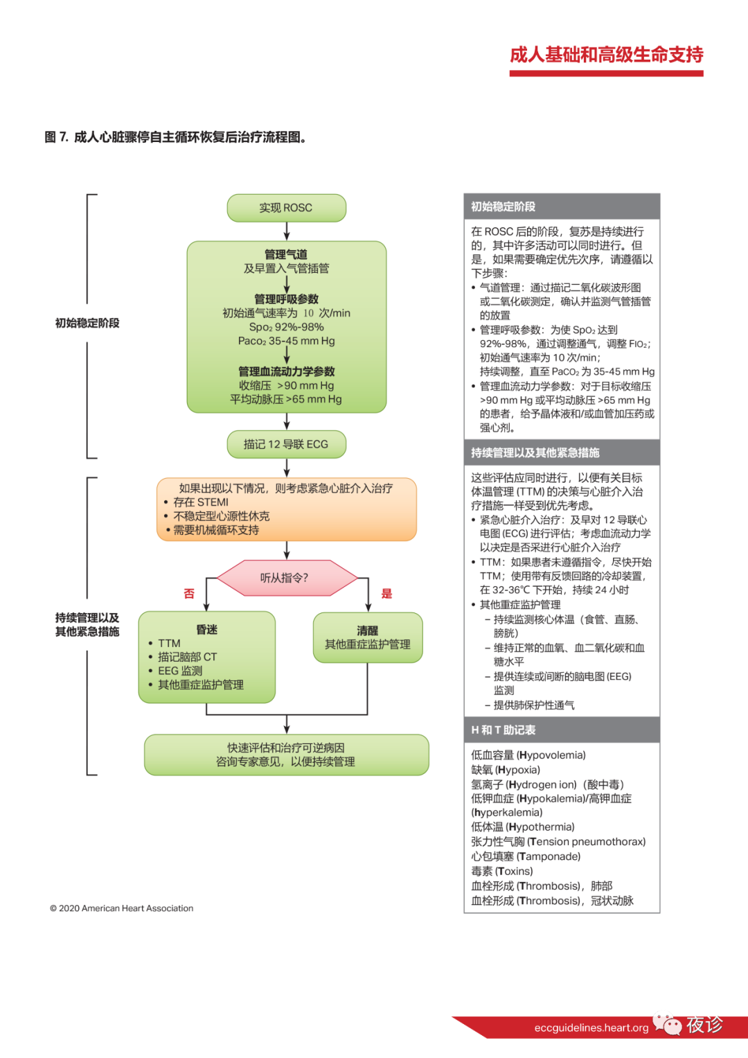 深度解读2020年最新心肺复苏指南，指南要点与应用策略探究