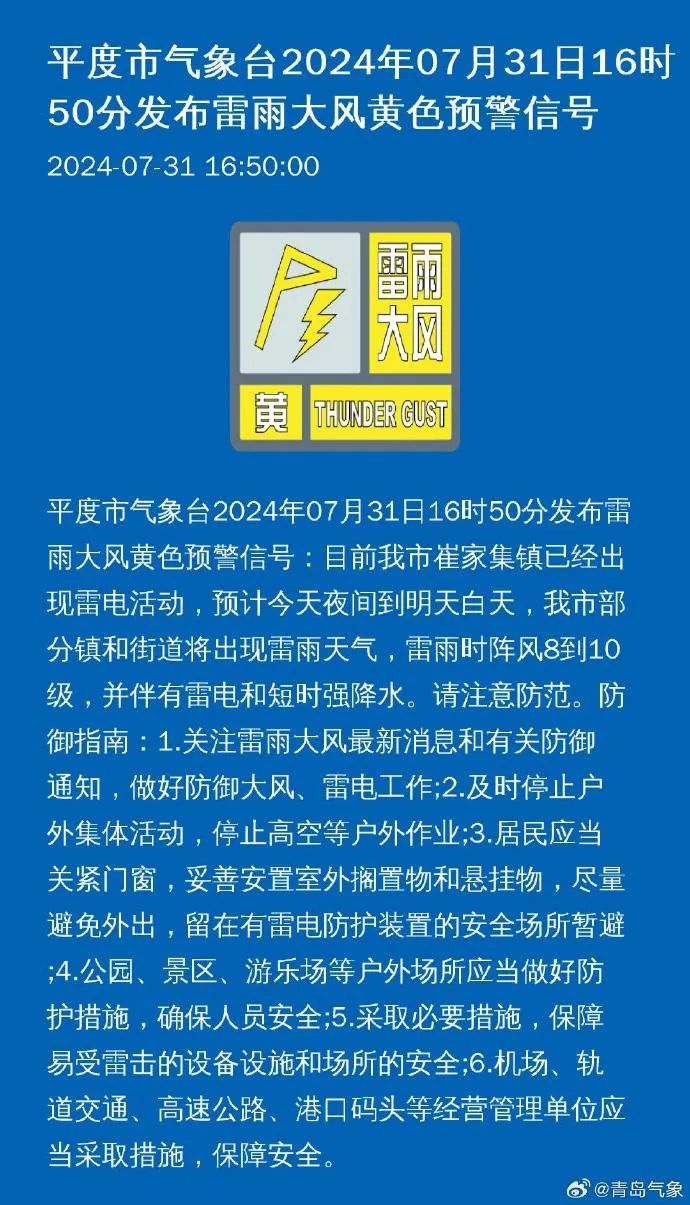 茌平司机招聘最新动态，行业趋势、招聘细节与职业发展前景展望