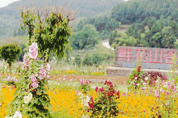 花谷论坛最新地址