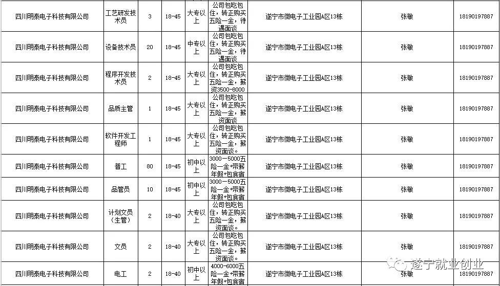 遂宁最新招聘信息网