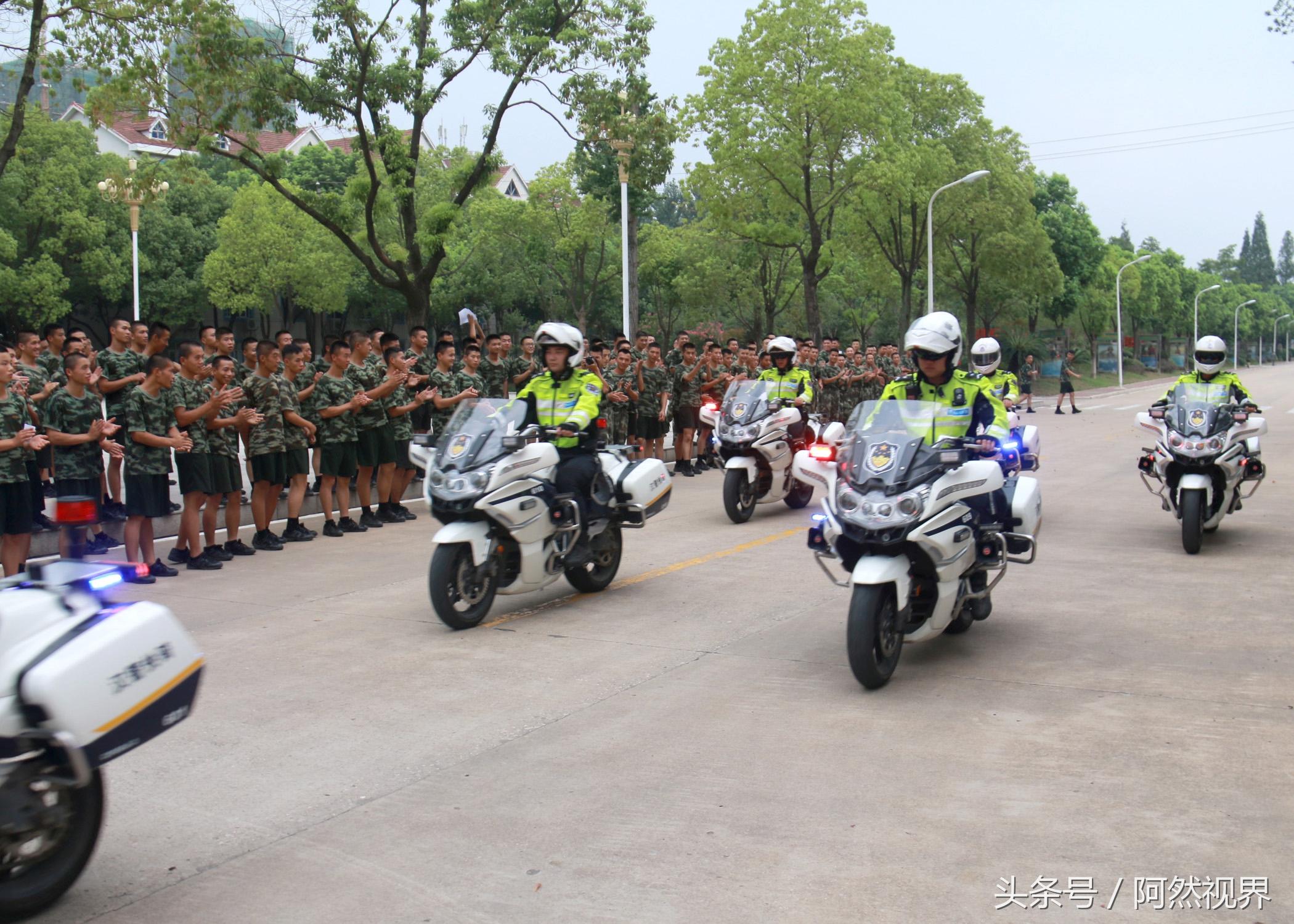 武警工资调整最新动态，2017年改革动向与调整消息揭晓