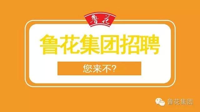 阜新鲁花2016最新招聘