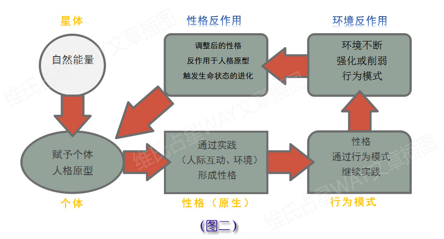 新奥资料免费精准,完善的执行机制解析_手游版3.455