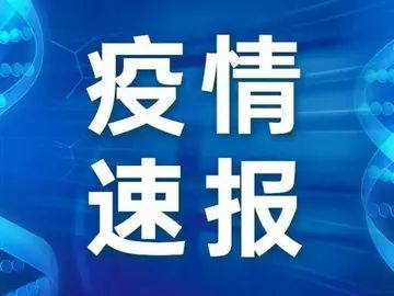 二四六天天彩資料大全网,决策资料解释落实_标准版3.66