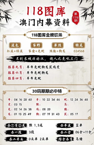 2024新澳兔费资料琴棋,详细解读落实方案_黄金版3.236