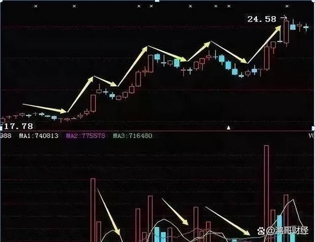 今晚澳门特马开的什么,高度协调策略执行_游戏版258.183