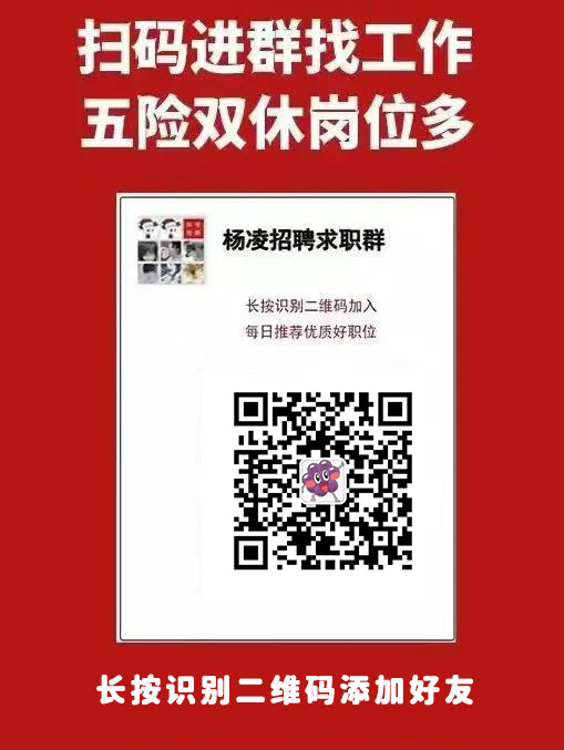 杨陵招聘网最新招聘动态深度解析及求职指南