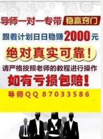 新澳天天彩免费资料2024老,准确资料解释落实_扩展版6.986