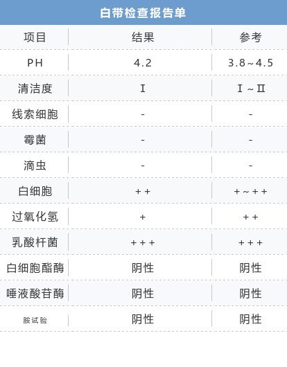 2024澳门天天开好彩大全正版,现状解答解释定义_Phablet48.324