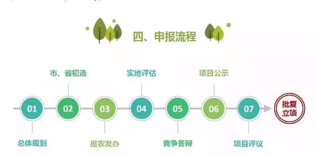 揭秘新澳精准资料免费提供,整体规划执行讲解_入门版2.362