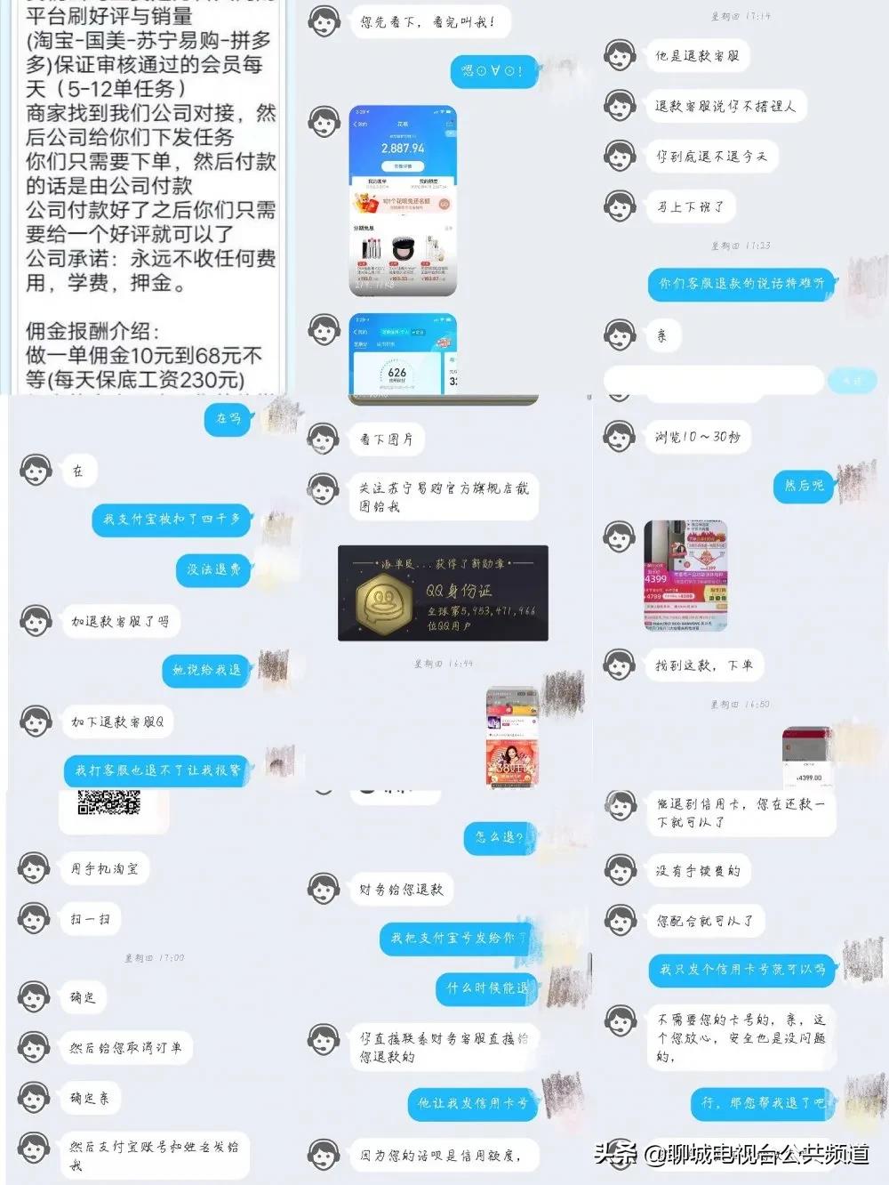 莘县招聘求职信息最新概览