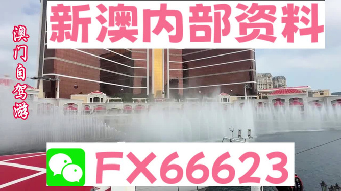 新澳内部资料精准一码,确保成语解析_XE版34.125