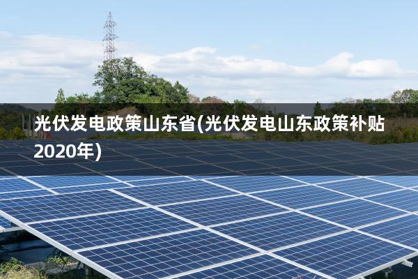 山东光伏补贴政策最新动态，推动清洁能源发展的强有力措施