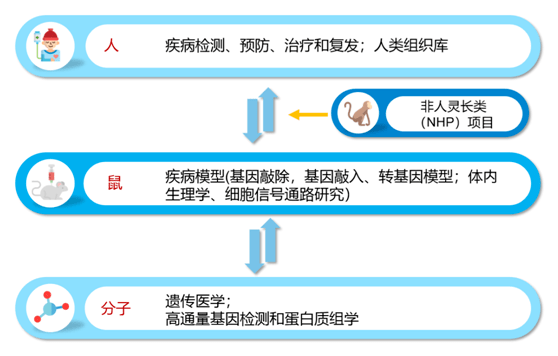 白小姐三肖三期必出一期开奖医,高效策略设计解析_专属版93.210