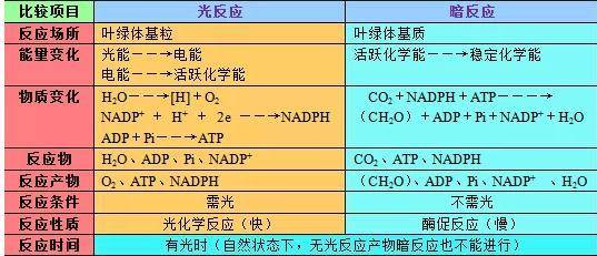 新澳2024今晚开奖资料,效率资料解释落实_T27.668