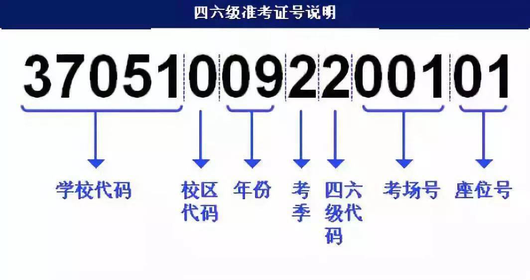 澳门4949最快开奖结果,快速解答方案执行_Prime78.506