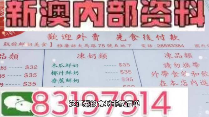 新澳门精准资料大全管家婆料,实证研究解释定义_网红版20.833