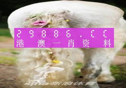 桃子小姐 第2页