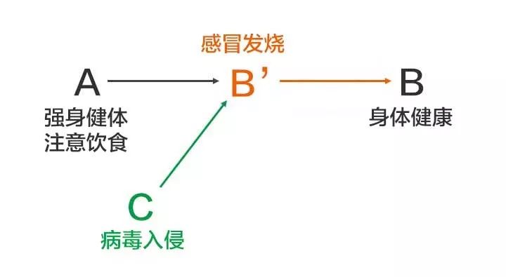 新澳门内部资料精准大全82,迅速执行解答计划_8K18.558