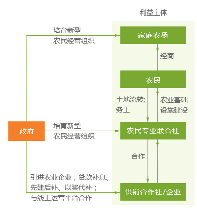 新奥天天免费资料单双中特,完善的执行机制解析_标准版3.66