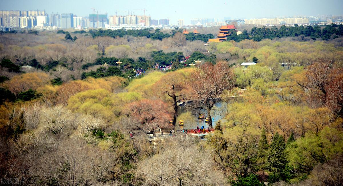 暖春花开新篇章，最新地址焕发生机与活力