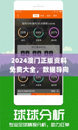 新奥彩资料免费提供澳门,详细解答解释定义_动态版62.919