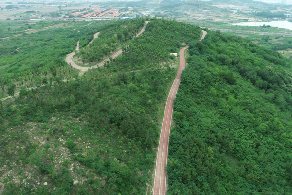 赤峰林场改革最新动态，探索与突破之路