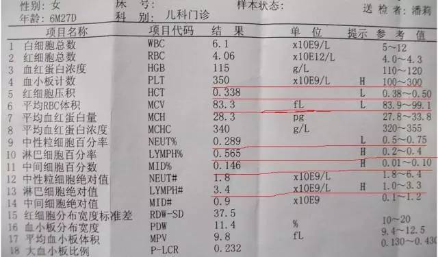 儿童血常规最新参考范围标准概览