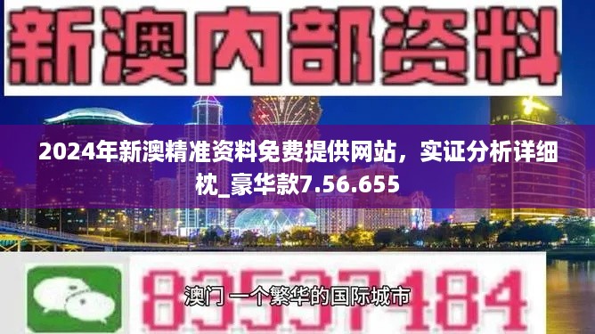 新澳2024正版免费资料,实证研究解释定义_经典版29.100.69