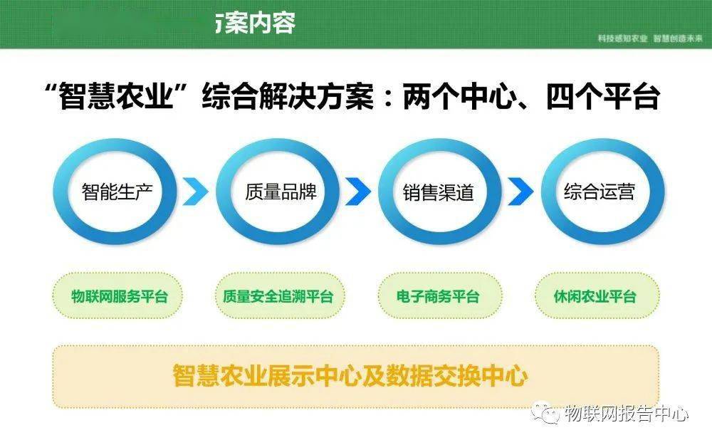 澳门一码一肖100准吗,快速解答计划解析_入门版93.155