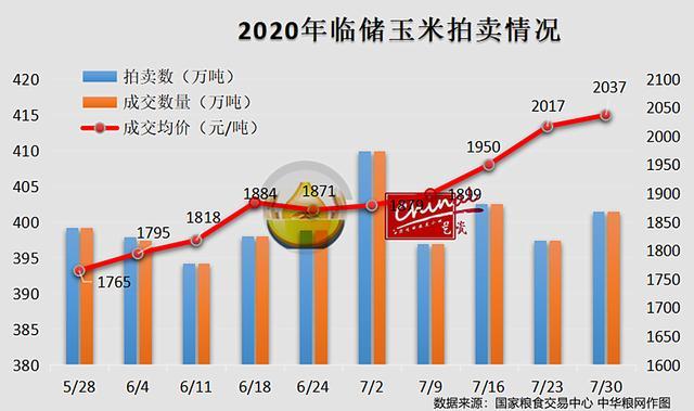 临储玉米最新消息今日更新