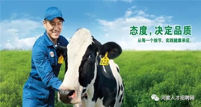 金河乳业最新招聘启事概览