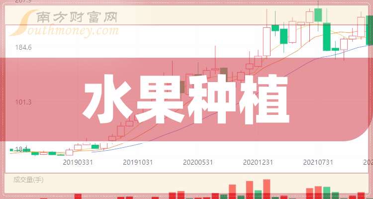 楚宝街征收最新动态，城市发展趋势与市民生活焦点关注