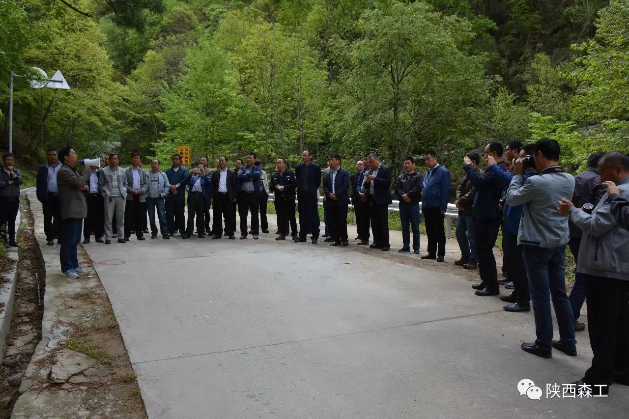 陕西林场改革新动向，推动绿色转型，助力生态文明建设进展报道