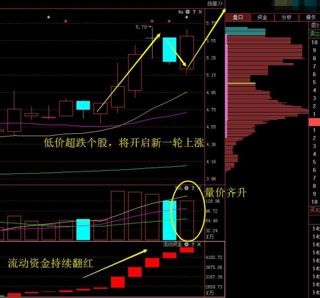 通产丽星重组动态及企业变革展望，最新消息揭示未来路径