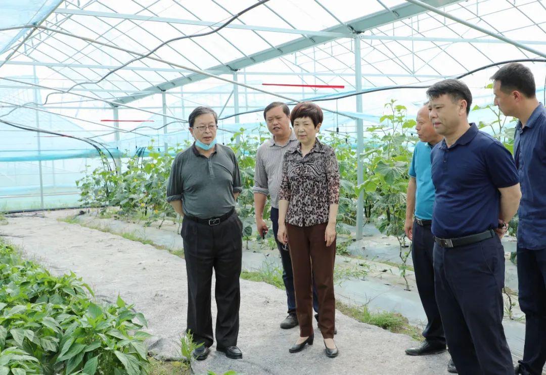 横峰县市场监督管理局领导团队引领市场监管新篇章