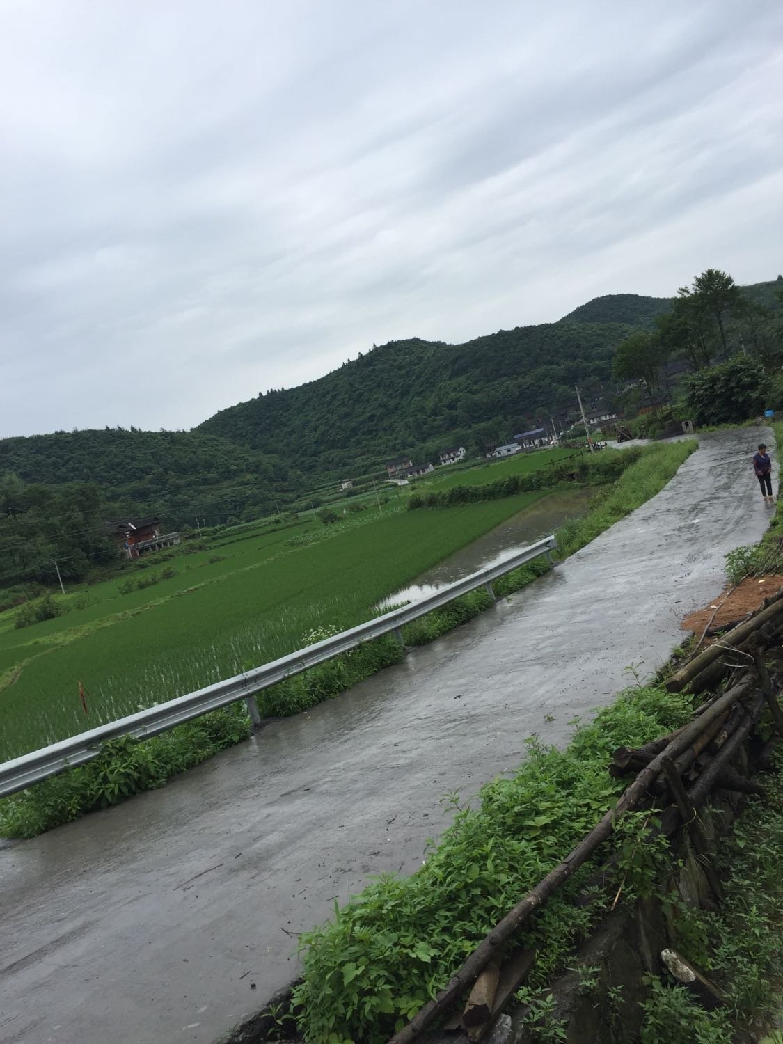 宝祝村天气预报更新通知