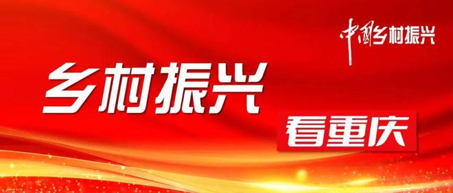 长寿区农业农村局领导团队全新亮相，未来展望与战略规划