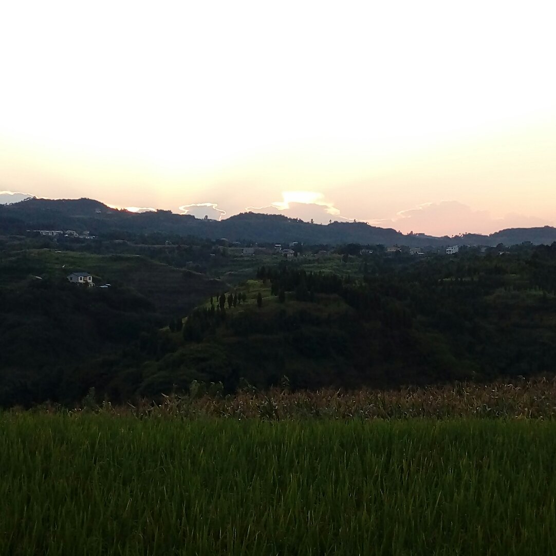 集龙乡天气预报更新通知