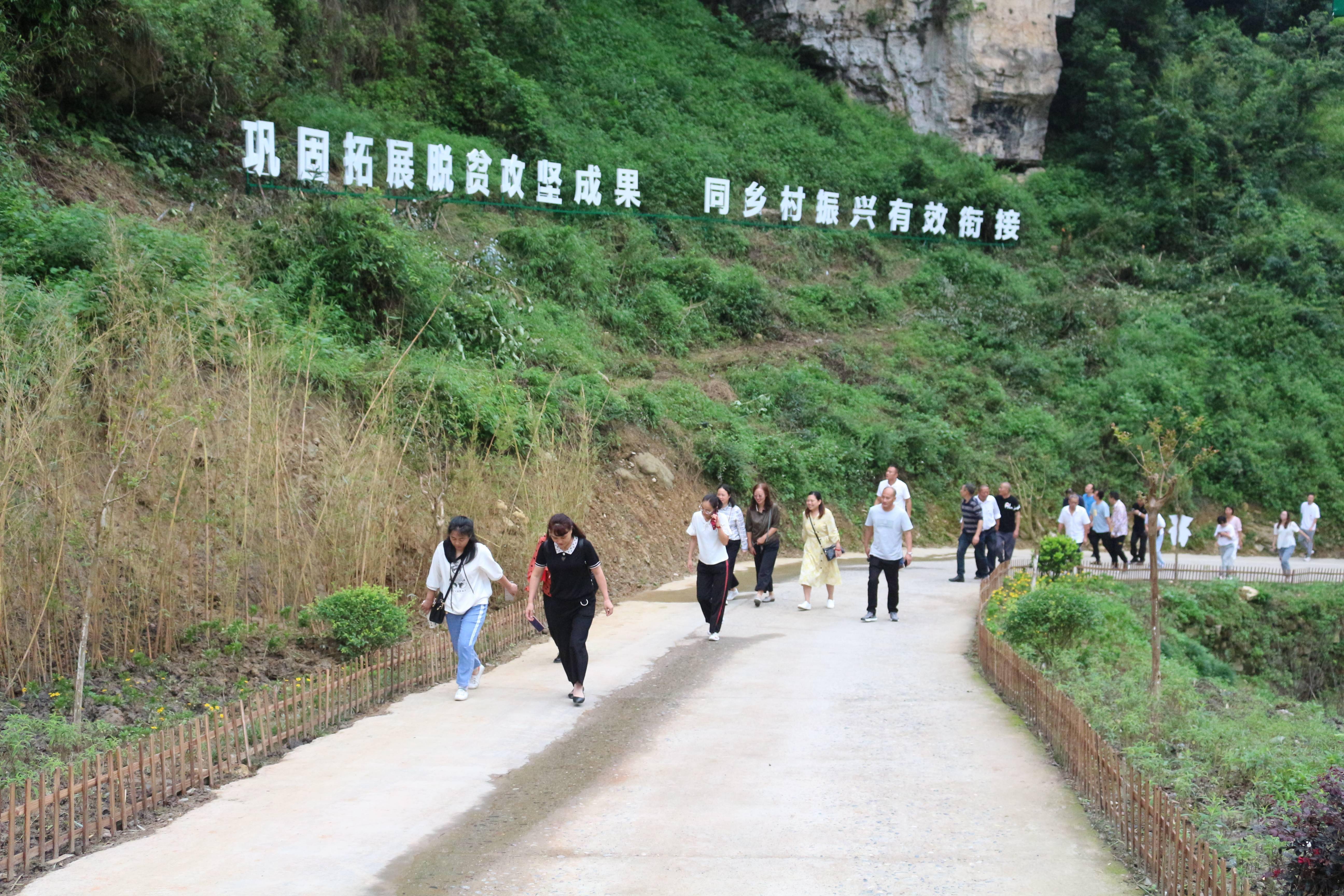 太平川镇农业园区领导团队引领农业创新与发展新篇章