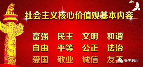 神农架林区财政局最新招聘信息全面解析