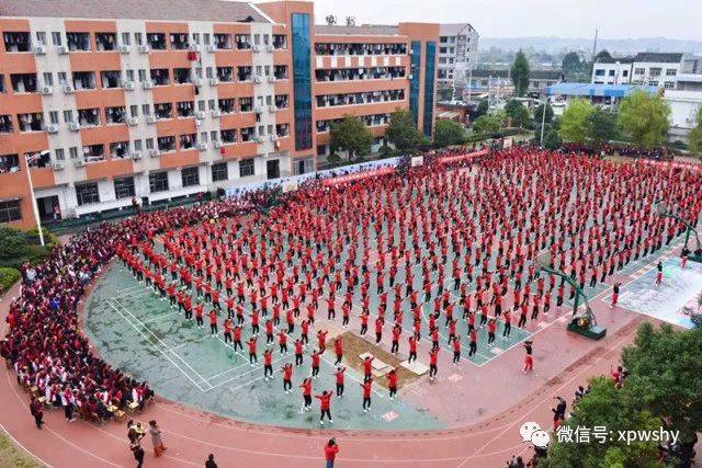 溆浦县小学全新招聘启事概览