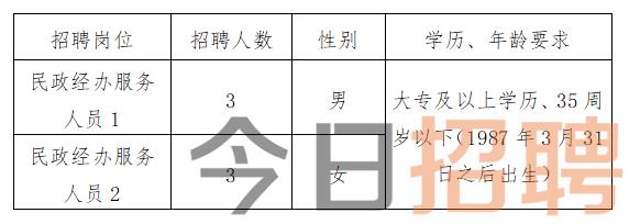 正阳县发展和改革局最新招聘公告概览